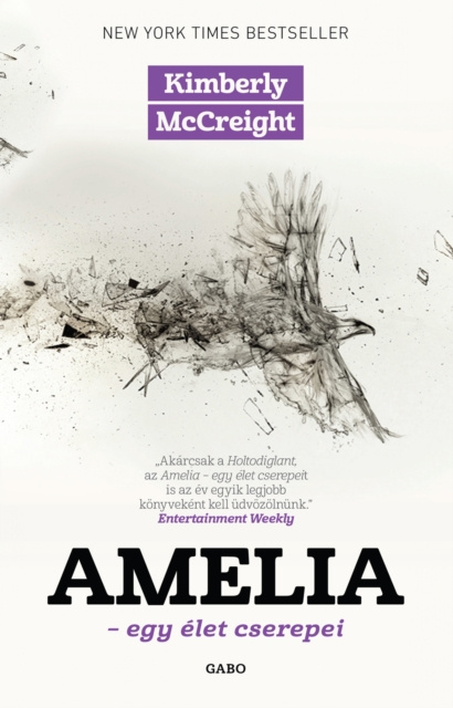 ebook Amelia Kimberly McCreight
