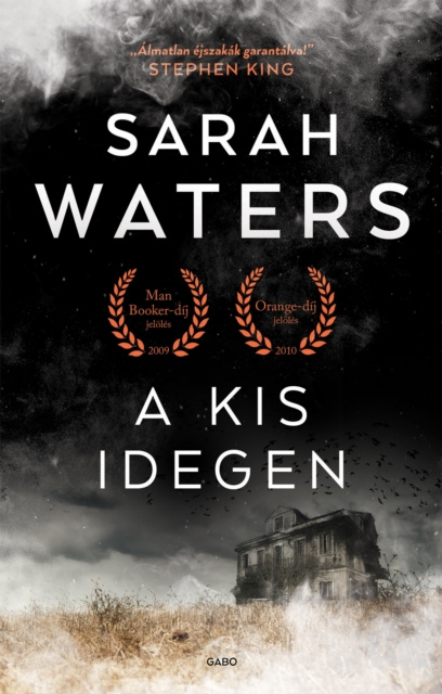 E-knjiga kis idegen Sarah Waters