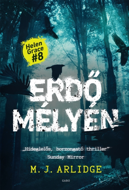 E-knjiga Erdo melyen M. J. Arlidge