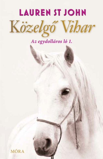 E-book Kozelgo vihar - Az egydollaros lo 1. Lauren St. John