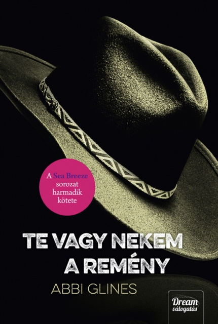 E-book Te vagy nekem a remeny Abbi Glines