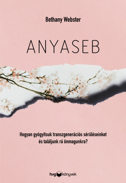 ebook Anyaseb Bethany Webster