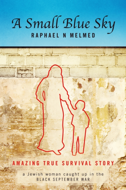 E-knjiga Small Blue Sky Raphael N Melmed
