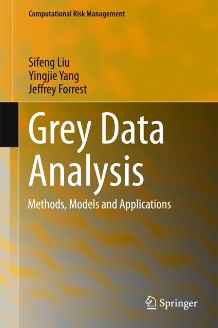 E-book Grey Data Analysis Sifeng Liu