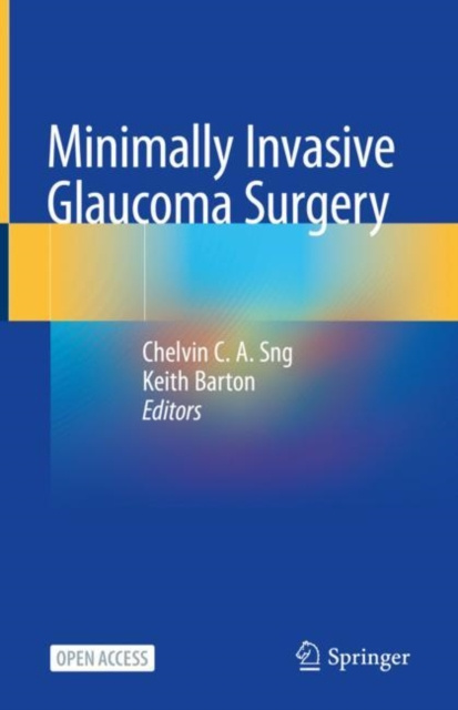 E-kniha Minimally Invasive Glaucoma Surgery Chelvin C. A. Sng