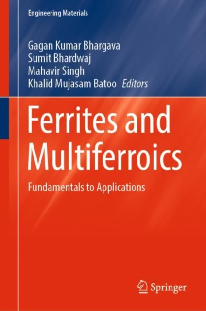 E-kniha Ferrites and Multiferroics Gagan Kumar Bhargava