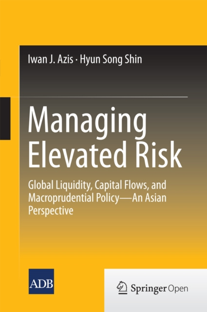 E-book Managing Elevated Risk Iwan J. Azis