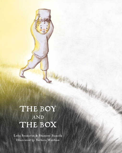 Libro elettronico Boy and the Box Leila Boukarim