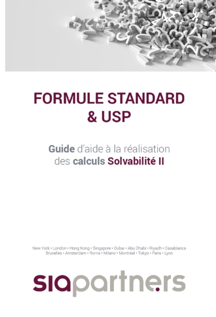 E-kniha Sia Partners Formule Standard & USP Julien Sac