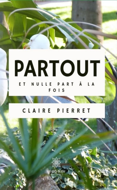 E-kniha Partout et nulle part a la fois Claire Pierret