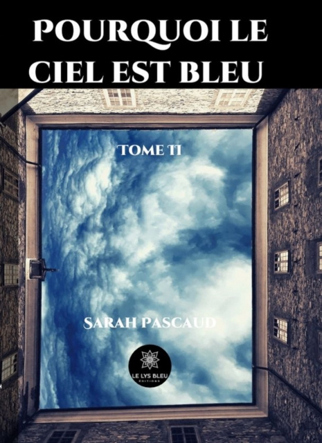 E-knjiga Pourquoi le ciel est bleu - Tome 2 Sarah Pascaud