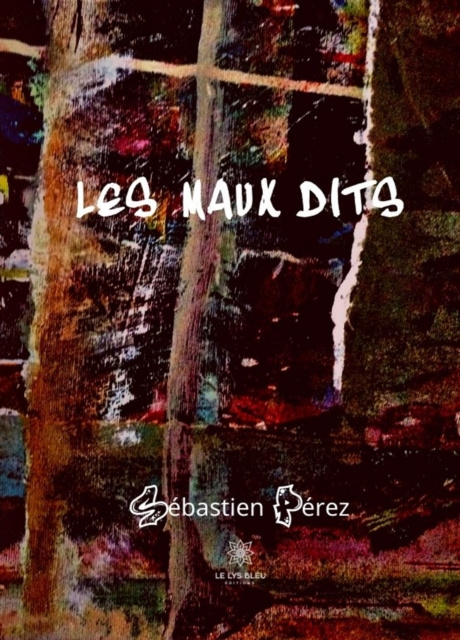 E-book Les maux dits Sebastien Perez