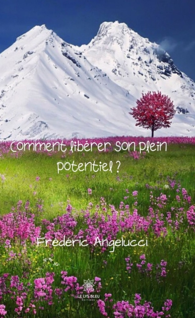 E-book Comment liberer son plein potentiel ? Frederic Angelucci