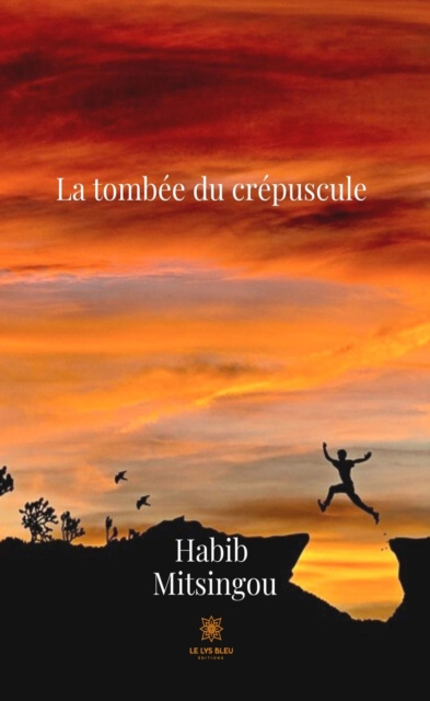 E-kniha La tombee du crepuscule Habib Mitsingou