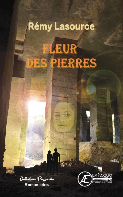 E-kniha Fleur des pierres Remy Lasource