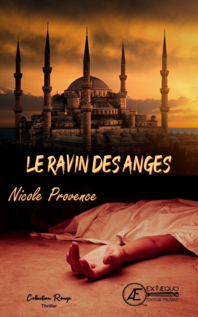 E-knjiga Le ravin des anges Nicole Provence