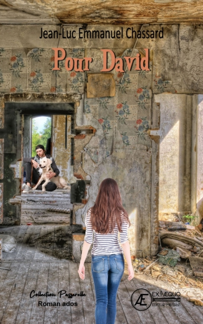 E-book Pour David Jean-Luc Emmanuel Chassard