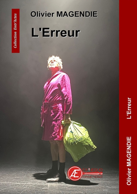 E-book L'erreur Olivier Magendie