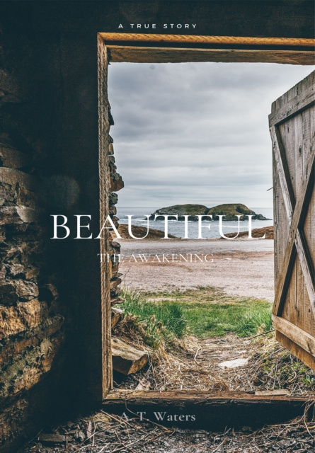 E-book Beautiful A. T. Waters
