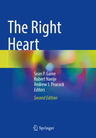 Buch The Right Heart Sean P. Gaine