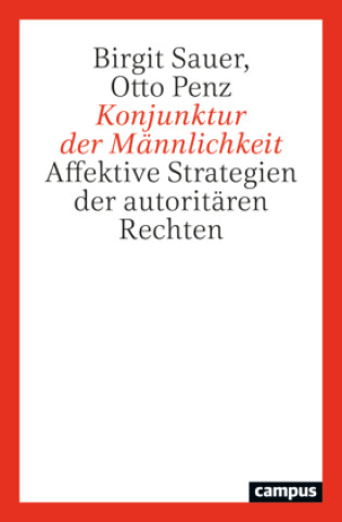 Kniha Konjunktur der Männlichkeit Otto Penz