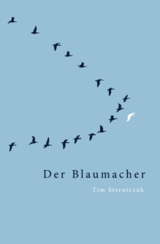 Boek Der Blaumacher Tim Sterniczuk