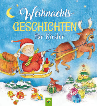 Könyv Weihnachtsgeschichten für Kinder 