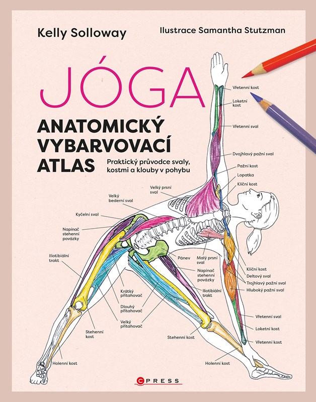 Книга Jóga Anatomický vybarvovací atlas 