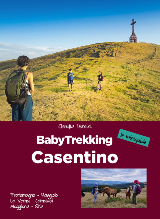 Kniha Babytrekking Casentino. Pratomagno, Raggiolo, La Verna, Camaldoli, Moggiona, Stia Domini Claudia