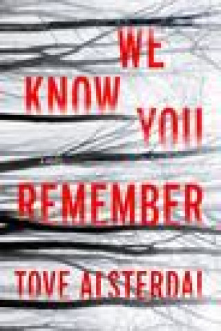 Book We Know You Remember Tove Alsterdal
