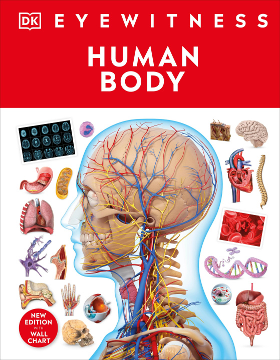 Knjiga Human Body DK