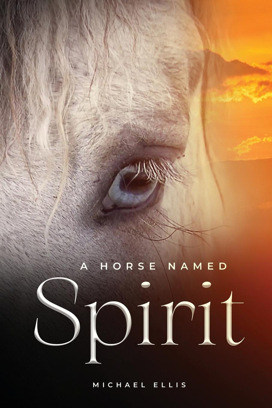 Buch Horse Named Spirit 