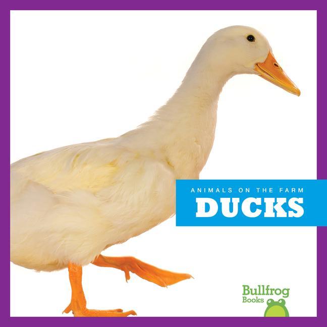 Knjiga Ducks 