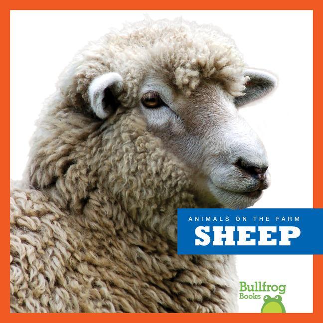 Knjiga Sheep 