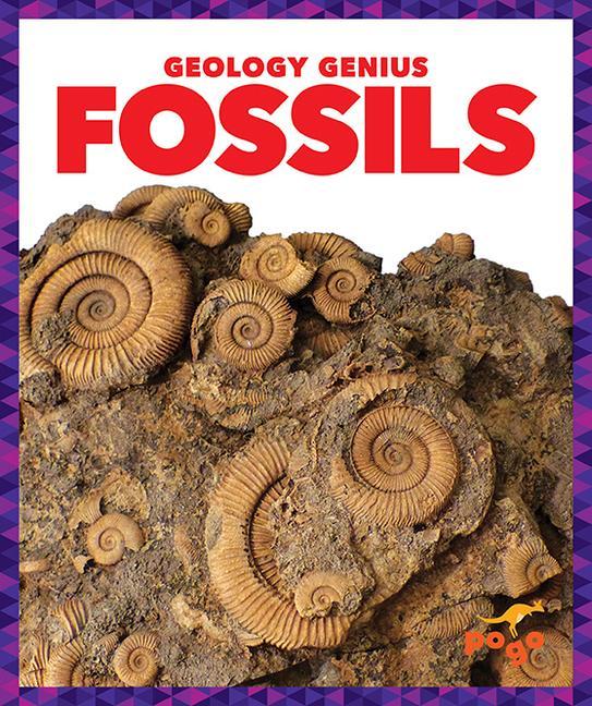Knjiga Fossils 