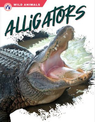 Knjiga Alligators Shannon Jade