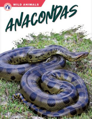 Kniha Anacondas 