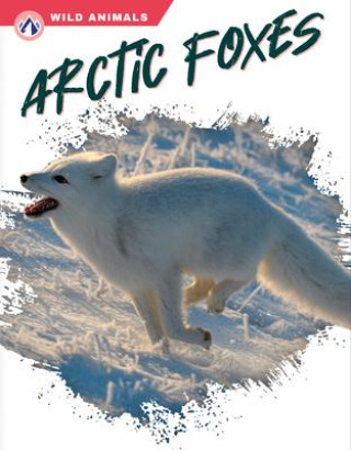 Boek Arctic Foxes Megan Gendell
