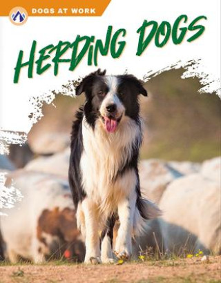 Carte Herding Dogs 