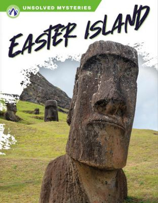 Knjiga Easter Island Sue Gagliardi