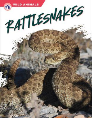 Knjiga Rattlesnakes Libby Wilson