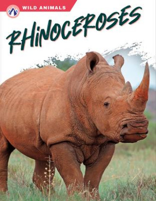 Book Rhinoceroses Rachel Hamby