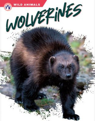 Knjiga Wolverines Megan Gendell