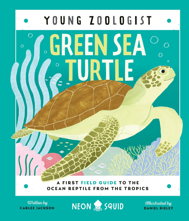 Könyv Green Sea Turtle (Young Zoologist): A First Field Guide to the Ocean Reptile from the Tropics Neon Squid