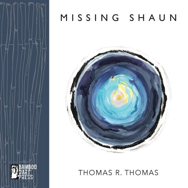Knjiga Missing Shaun Thomas R. Thomas