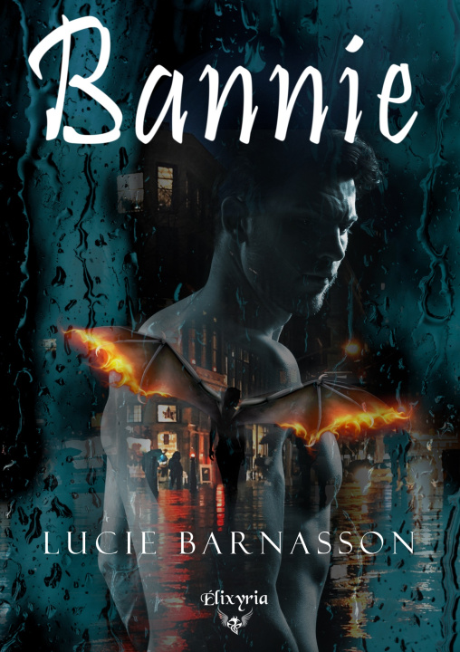 Buch Bannie Barnasson