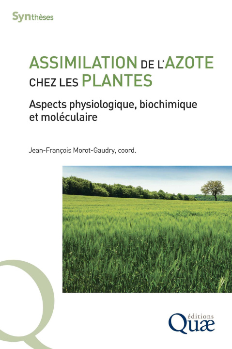 Carte Assimilation de l'azote chez les plantes Morot-Gaudry