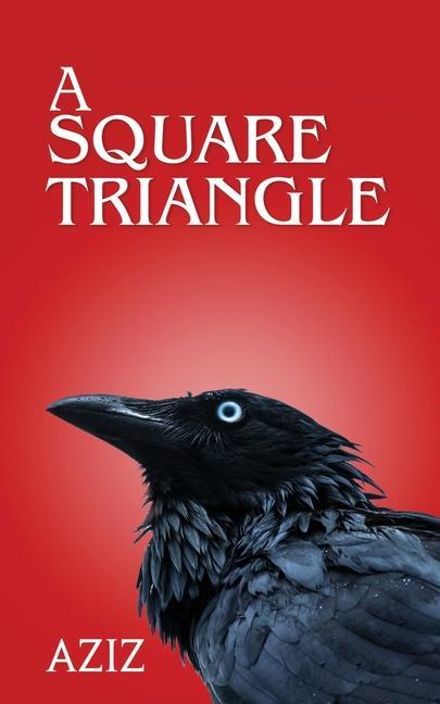 Knjiga Square Triangle Aziz