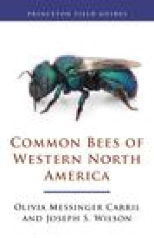 Kniha Common Bees of Western North America Olivia Messinge Carril