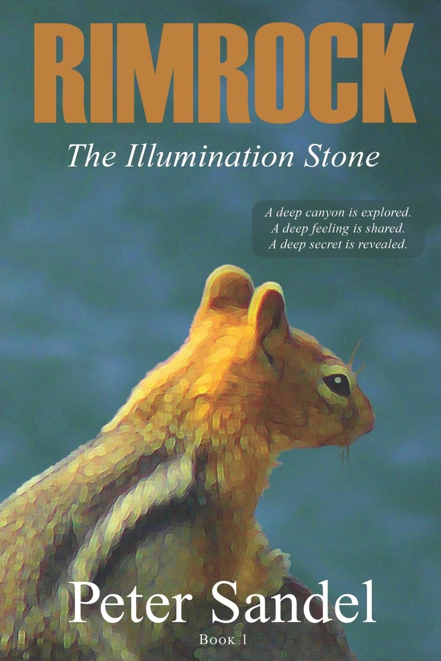Knjiga Illumination Stone Peter Sandel